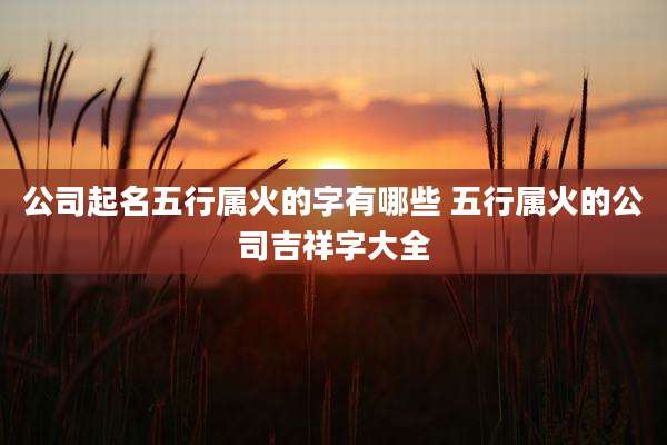 公司起名五行属火的字有哪些 五行属火的公司吉祥字大全