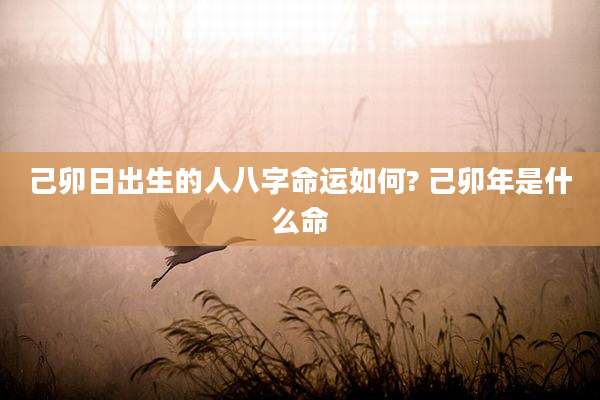 己卯日出生的人八字命运如何? 己卯年是什么命