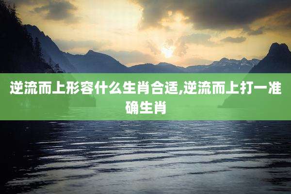 逆流而上形容什么生肖合适,逆流而上打一准确生肖