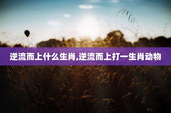逆流而上什么生肖,逆流而上打一生肖动物