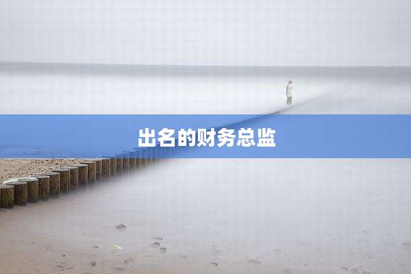 出名的财务总监