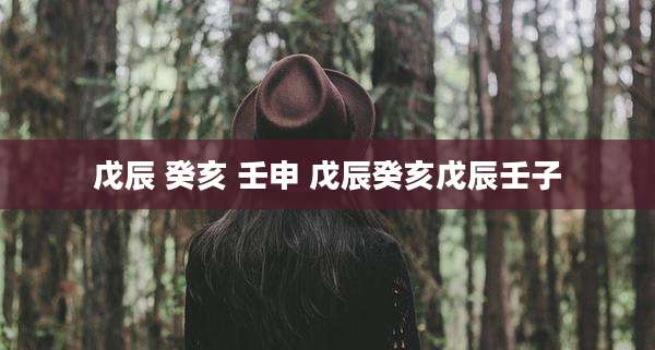 戊辰 癸亥 壬申 戊辰癸亥戊辰壬子