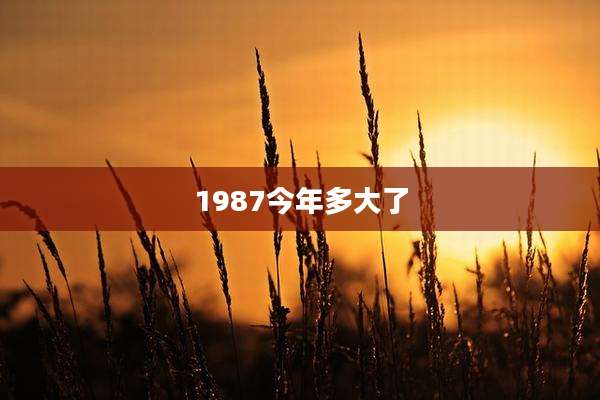 1987今年多大了