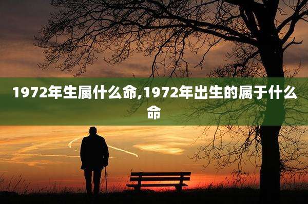 1972年生属什么命,1972年出生的属于什么命