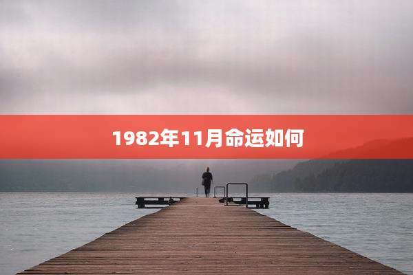 1982年11月命运如何