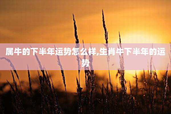 属牛的下半年运势怎么样,生肖牛下半年的运势