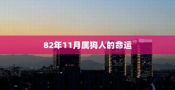 82年11月属狗人的命运
