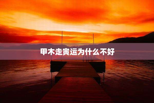 甲木走寅运为什么不好
