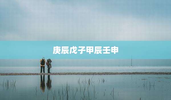 庚辰戊子甲辰壬申