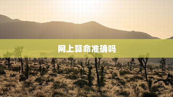 网上算命准确吗