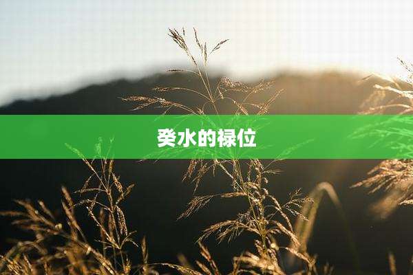 癸水的禄位