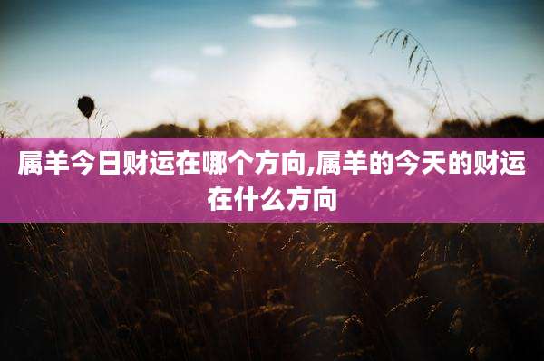 属羊今日财运在哪个方向,属羊的今天的财运在什么方向