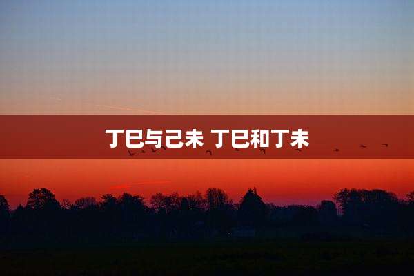 丁巳与己未 丁巳和丁未