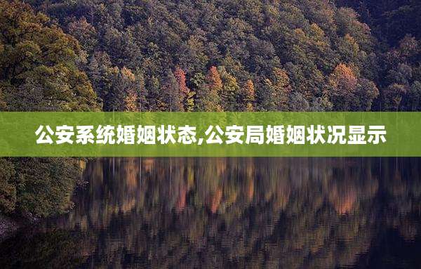 公安系统婚姻状态,公安局婚姻状况显示