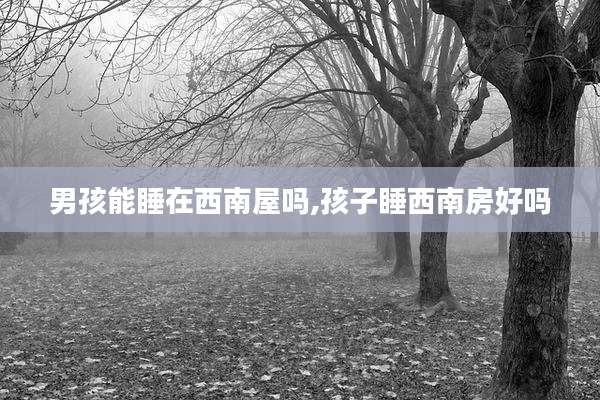 男孩能睡在西南屋吗,孩子睡西南房好吗