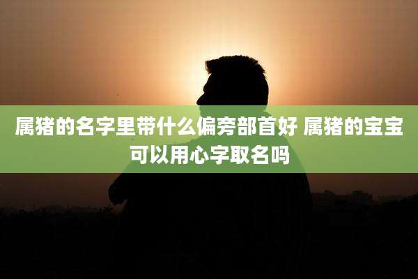 属猪的名字里带什么偏旁部首好 属猪的宝宝可以用心字取名吗