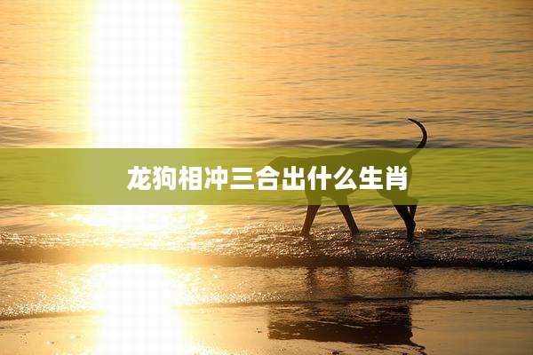 龙狗相冲三合出什么生肖