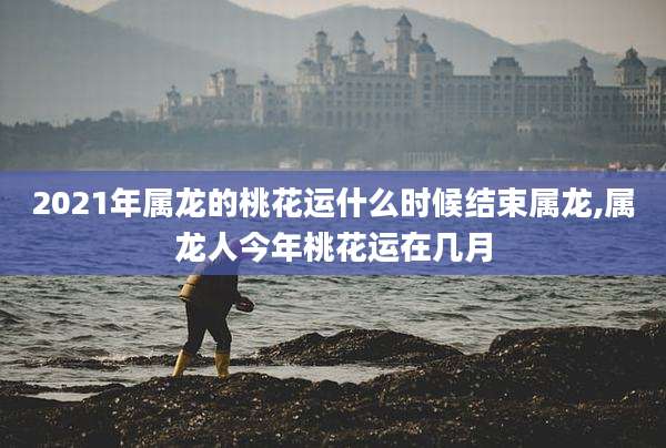 2021年属龙的桃花运什么时候结束属龙,属龙人今年桃花运在几月