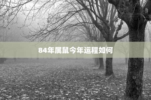 84年属鼠今年运程如何