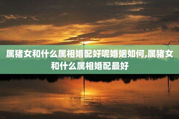 属猪女和什么属相婚配好呢婚姻如何,属猪女和什么属相婚配最好