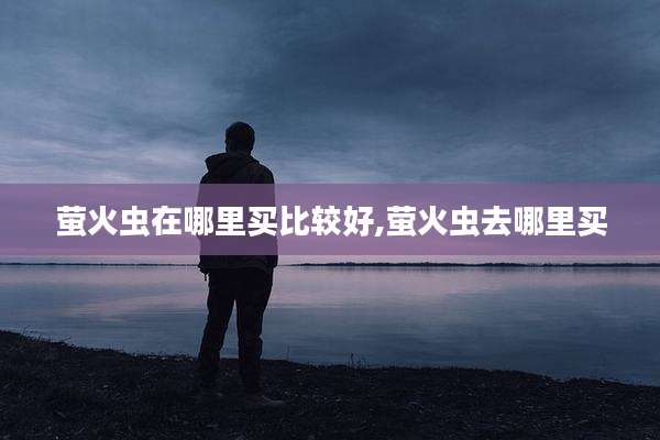 萤火虫在哪里买比较好,萤火虫去哪里买