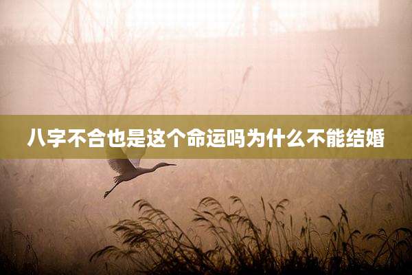 八字不合也是这个命运吗为什么不能结婚