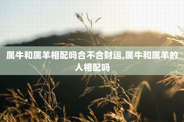 属牛和属羊相配吗合不合财运,属牛和属羊的人相配吗