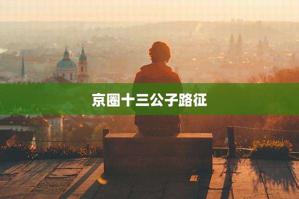 京圈十三公子路征