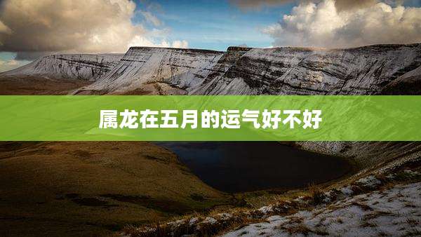 属龙在五月的运气好不好