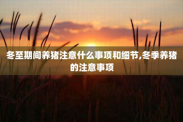 冬至期间养猪注意什么事项和细节,冬季养猪的注意事项