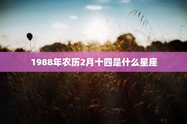 1988年农历2月十四是什么星座