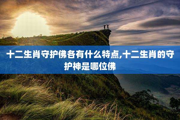 十二生肖守护佛各有什么特点,十二生肖的守护神是哪位佛
