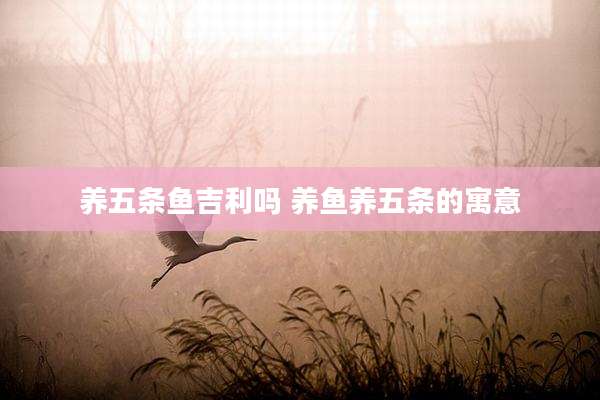 养五条鱼吉利吗 养鱼养五条的寓意