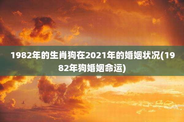 1982年的生肖狗在2021年的婚姻状况(1982年狗婚姻命运)