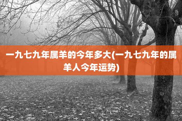 一九七九年属羊的今年多大(一九七九年的属羊人今年运势)
