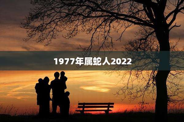 1977年属蛇人2022