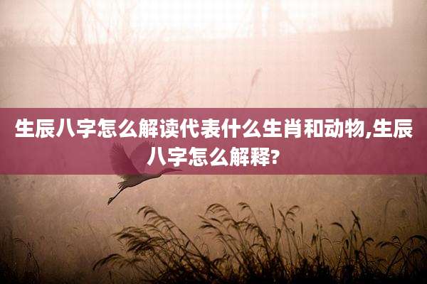 生辰八字怎么解读代表什么生肖和动物,生辰八字怎么解释?