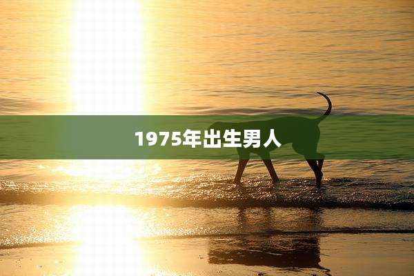1975年出生男人