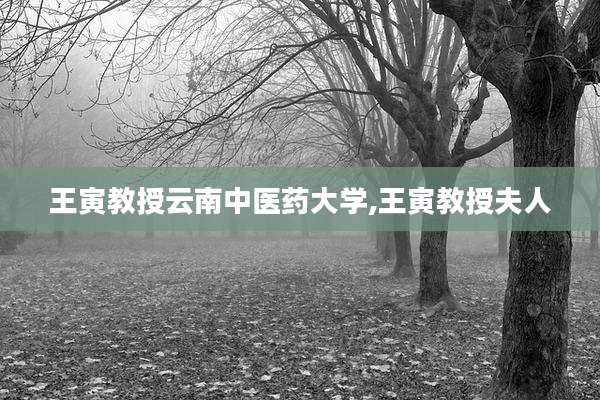 王寅教授云南中医药大学,王寅教授夫人