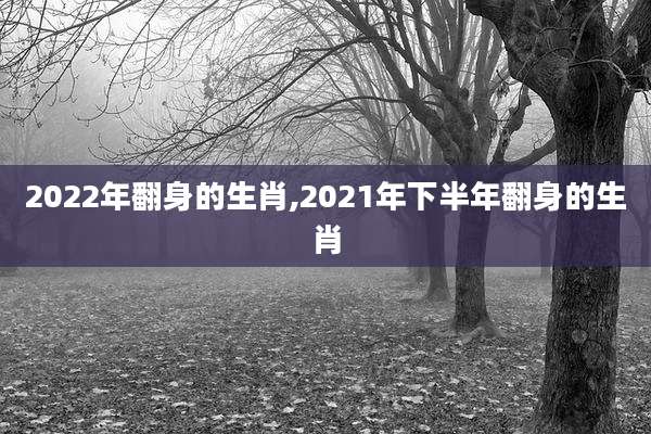 2022年翻身的生肖,2021年下半年翻身的生肖