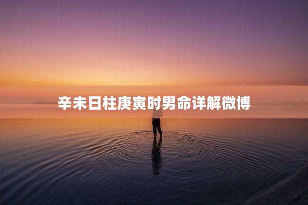 辛未日柱庚寅时男命详解微博