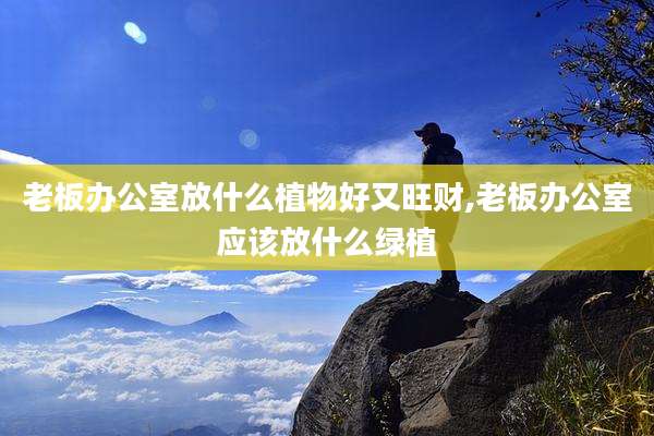 老板办公室放什么植物好又旺财,老板办公室应该放什么绿植