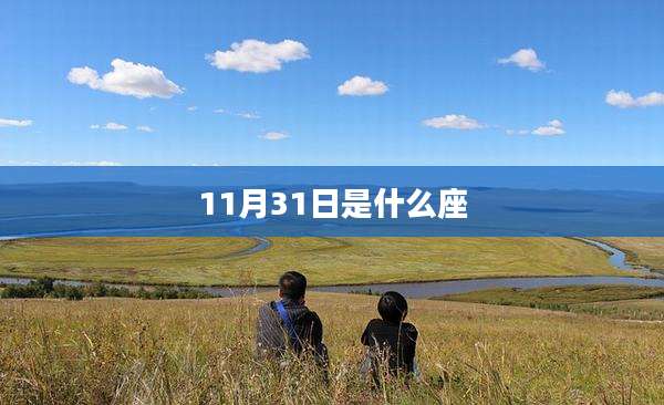 11月31日是什么座