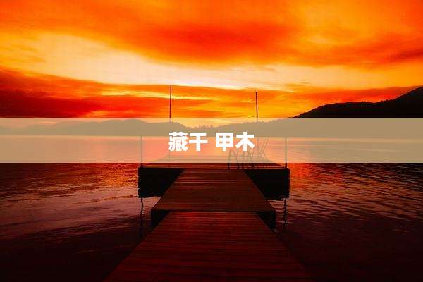 藏干 甲木