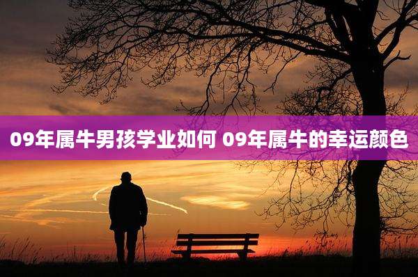 09年属牛男孩学业如何 09年属牛的幸运颜色