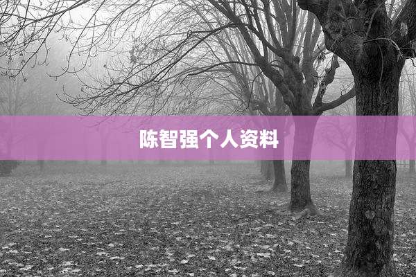 陈智强个人资料