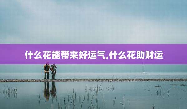 什么花能带来好运气,什么花助财运