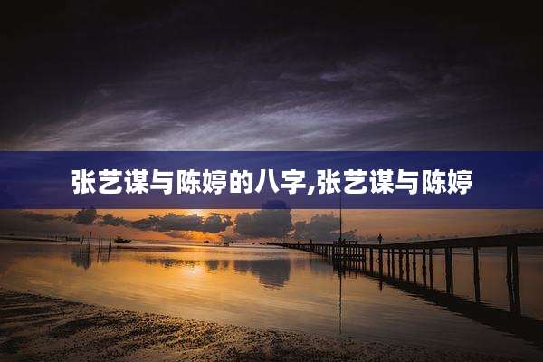 张艺谋与陈婷的八字,张艺谋与陈婷