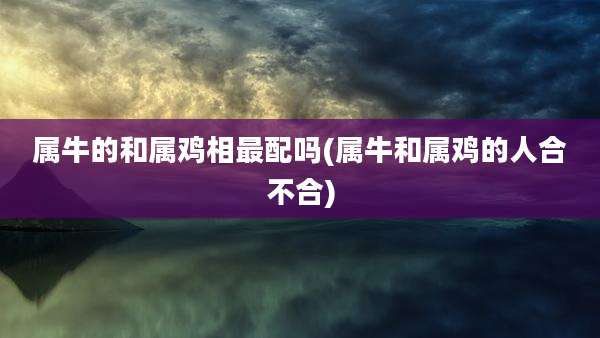 属牛的和属鸡相最配吗(属牛和属鸡的人合不合)