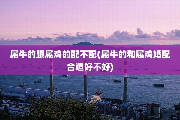 属牛的跟属鸡的配不配(属牛的和属鸡婚配合适好不好)